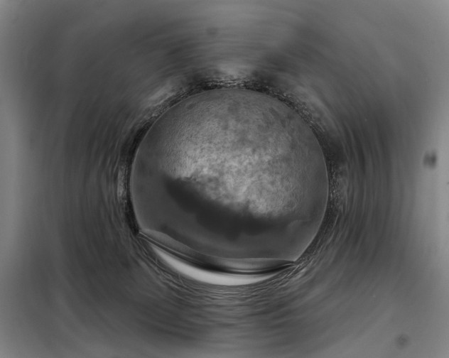X0000098210131200805011219