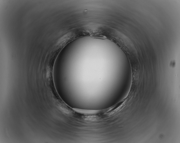 X0000098210132200805011219
