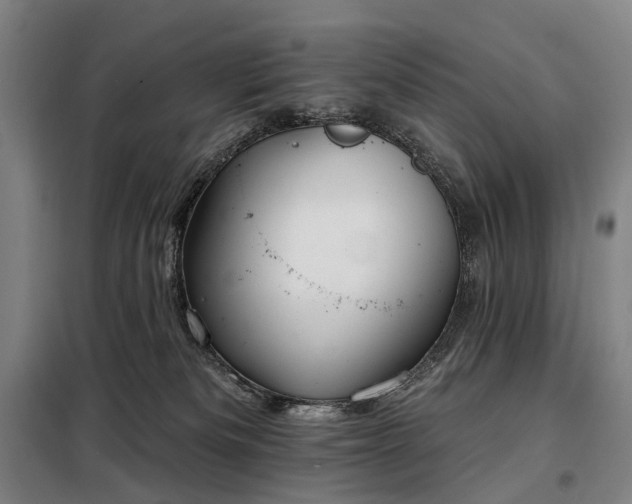 X0000098210133200805011219