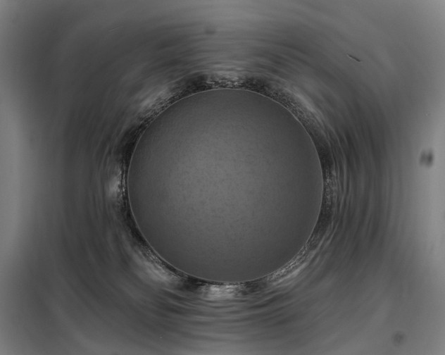 X0000098210134200805011219