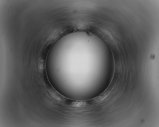 X0000098210135200805011219