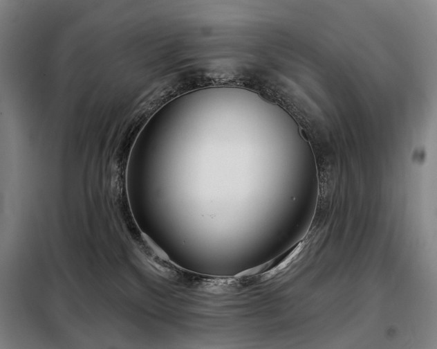 X0000098210136200805011219