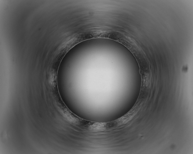 X0000098210138200805011219
