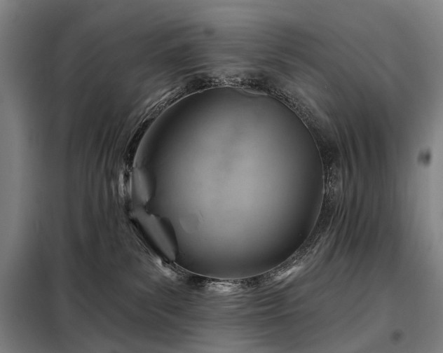 X0000098210139200805011219