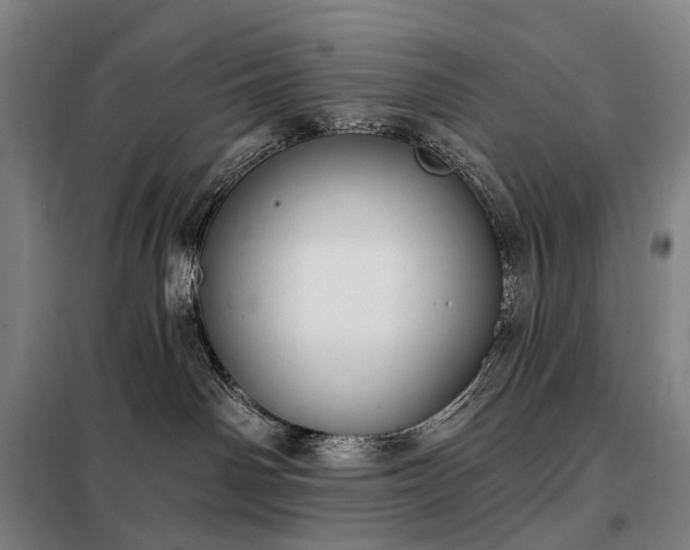 X0000098210142200805011219
