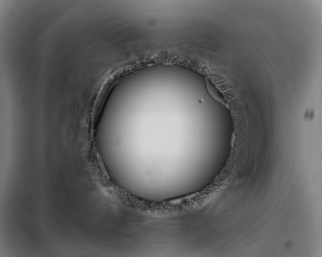 X0000098210144200805011219