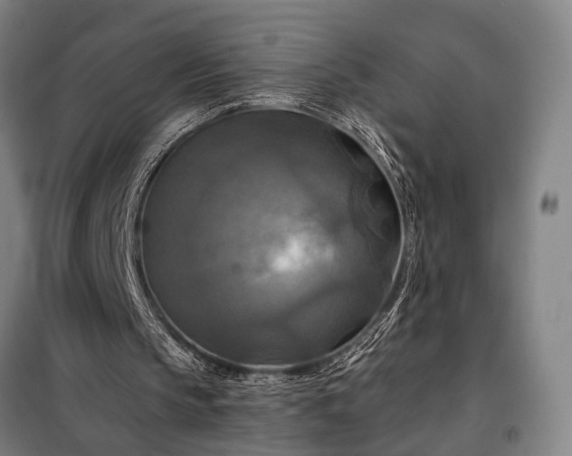 X0000098210145200805011218
