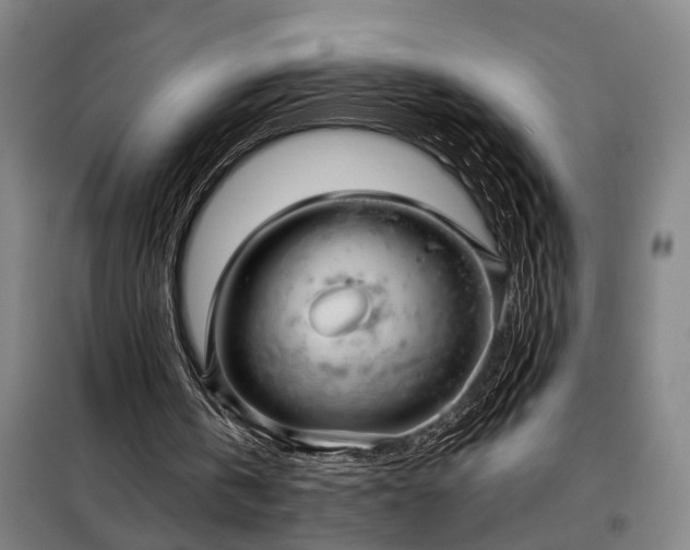 X0000098210146200805011218