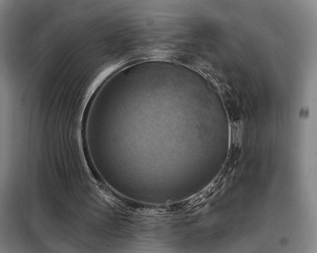 X0000098210147200805011218
