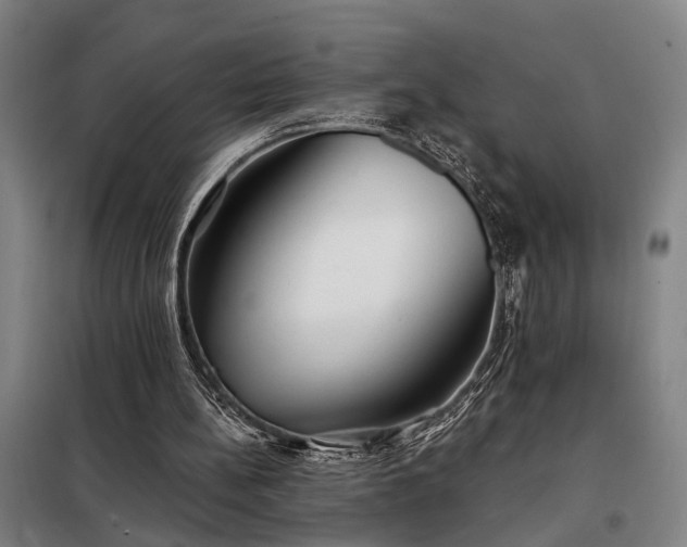 X0000098210148200805011218