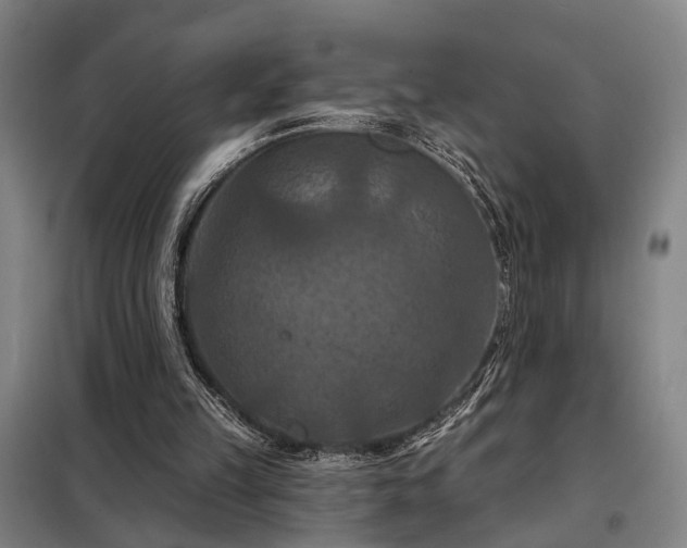 X0000098210149200805011218