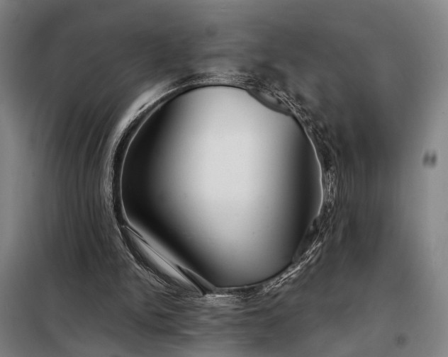 X0000098210150200805011218