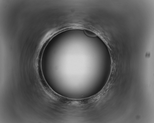 X0000098210151200805011219