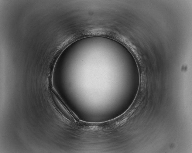 X0000098210153200805011219