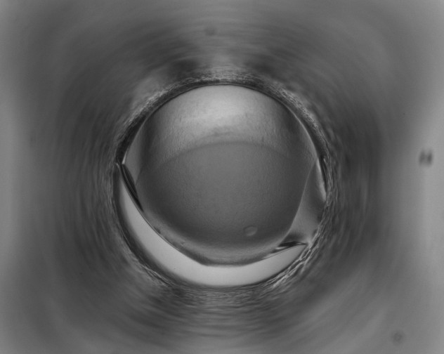 X0000098210154200805011219