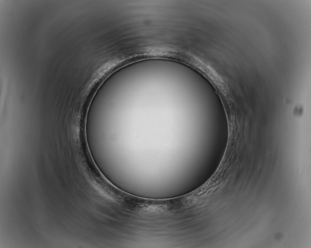 X0000098210155200805011219