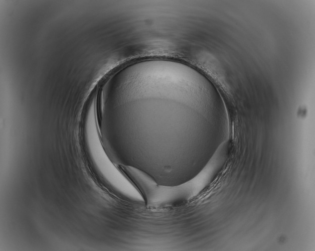 X0000098210156200805011219