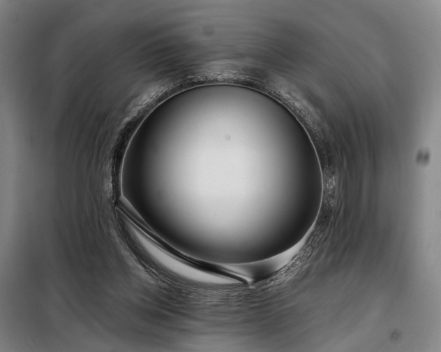 X0000098210158200805011219
