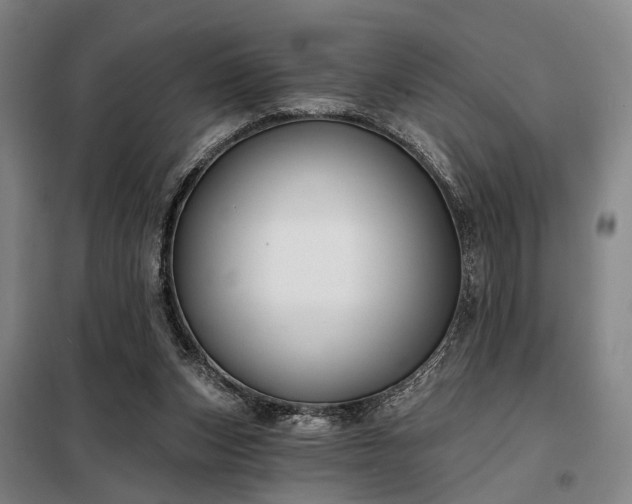 X0000098210159200805011219