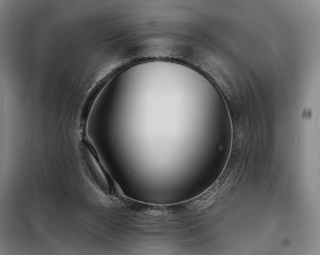 X0000098210160200805011219