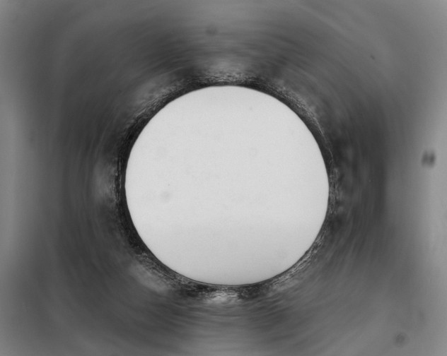 X0000098210162200805011219