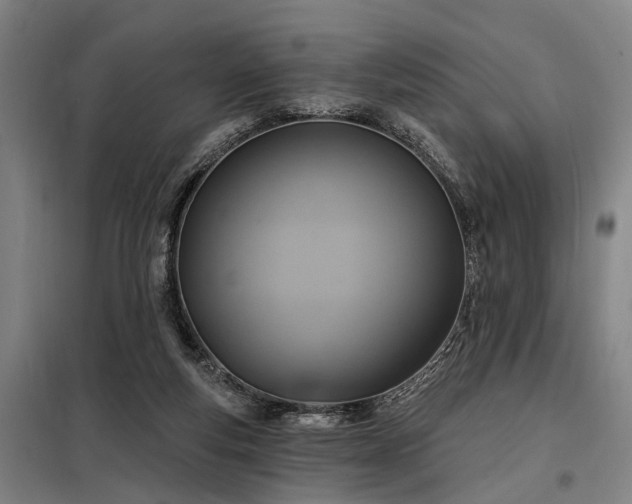 X0000098210163200805011219