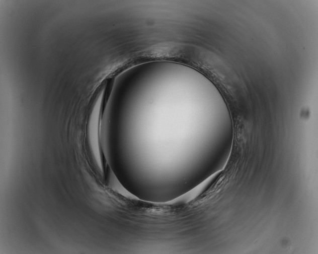 X0000098210164200805011219