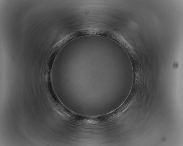 X0000098210165200805011219