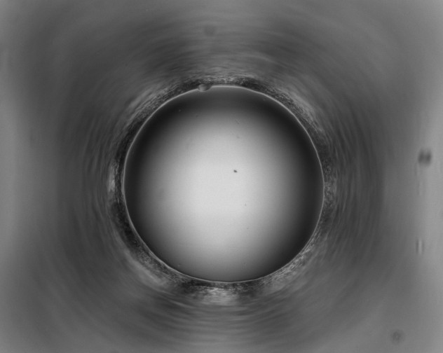 X0000098210166200805011219