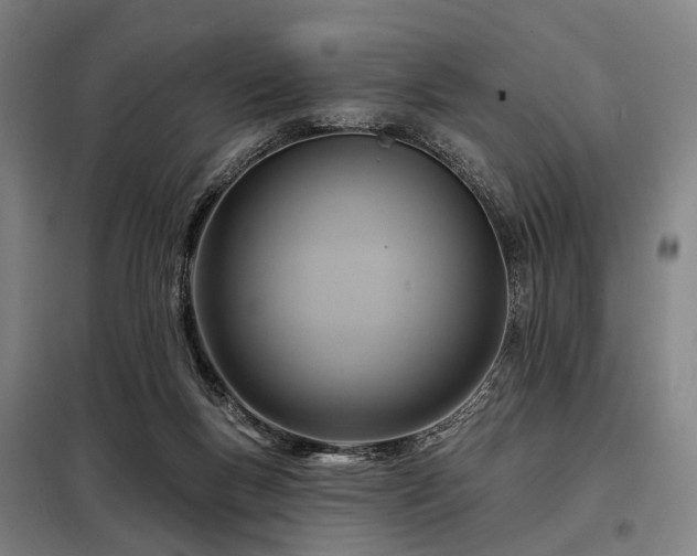 X0000098210167200805011219