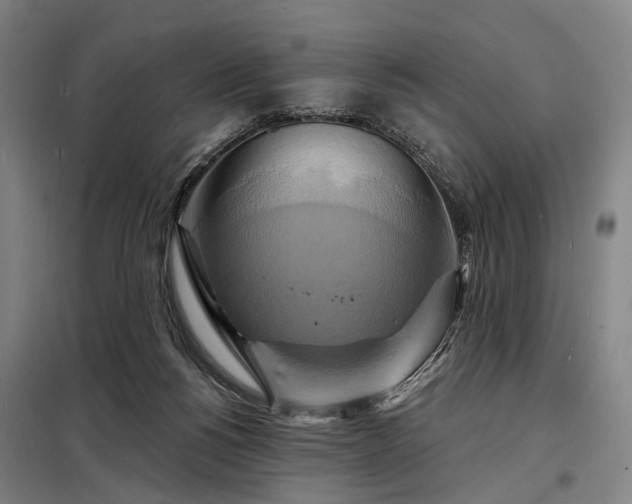 X0000098210168200805011219