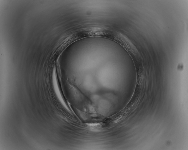 X0000098210169200805011219