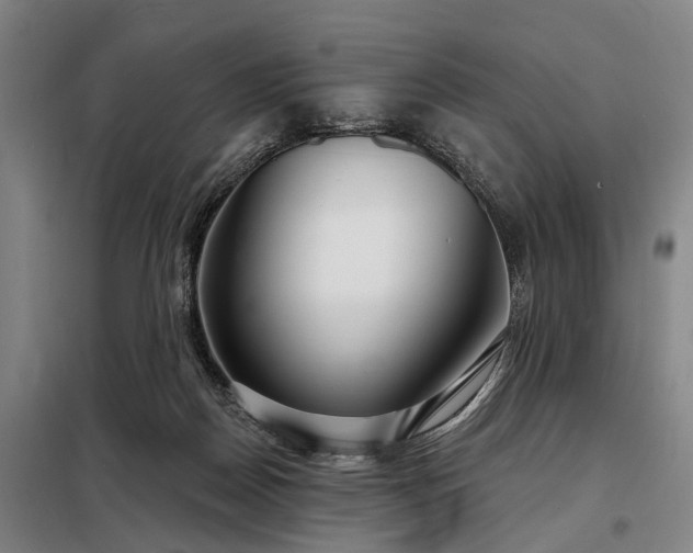 X0000098210170200805011219
