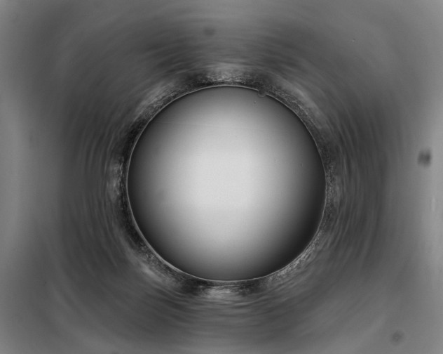 X0000098210171200805011219
