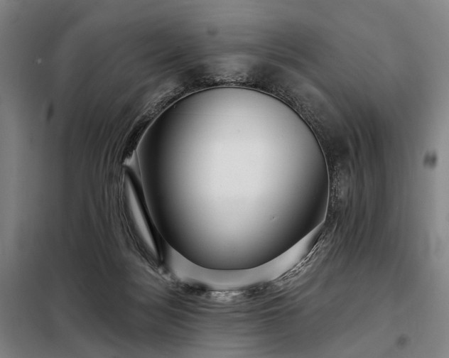 X0000098210172200805011219