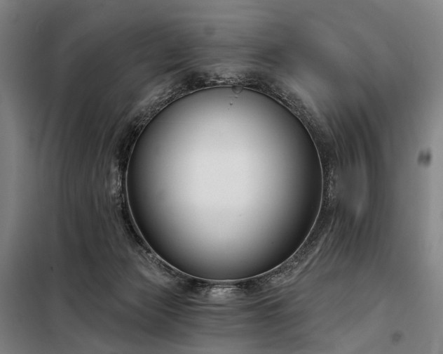 X0000098210173200805011219