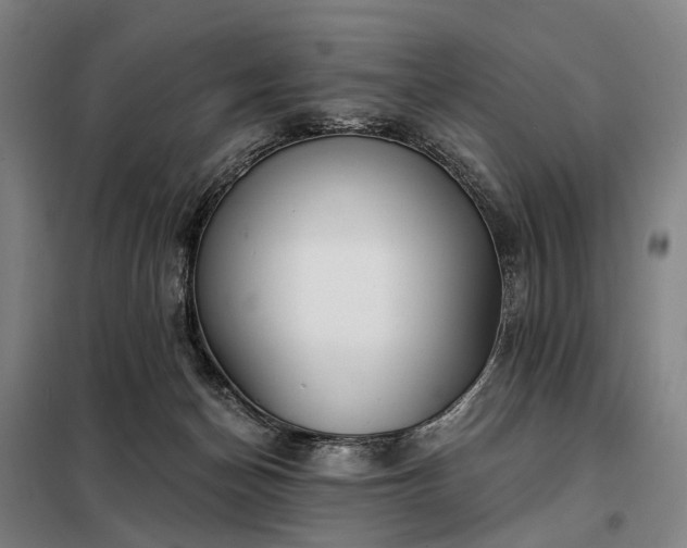 X0000098210174200805011219