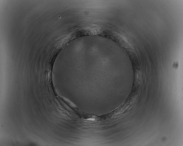 X0000098210177200805011219