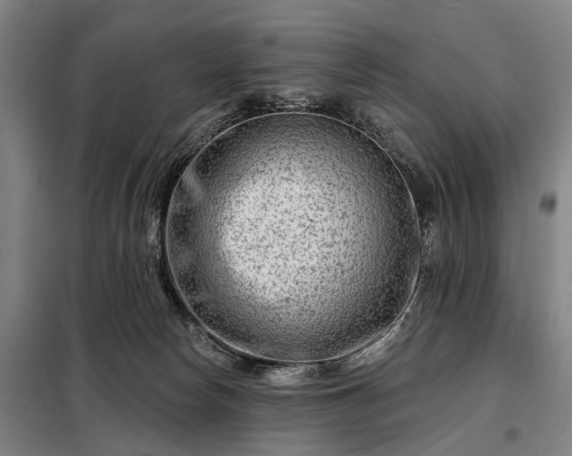 X0000098210178200805011219