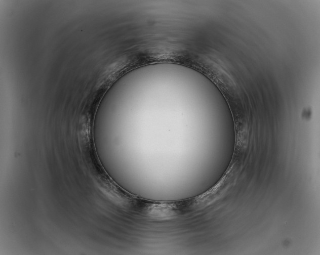 X0000098210179200805011219