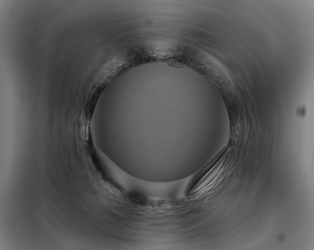 X0000098210180200805011219
