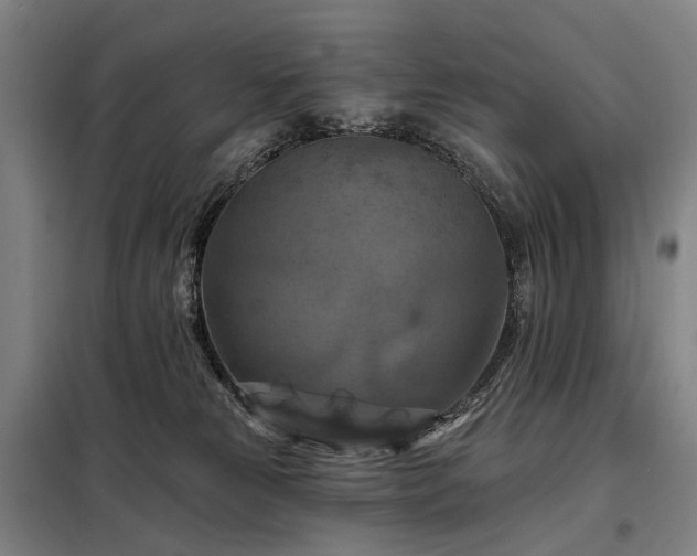 X0000098210181200805011219