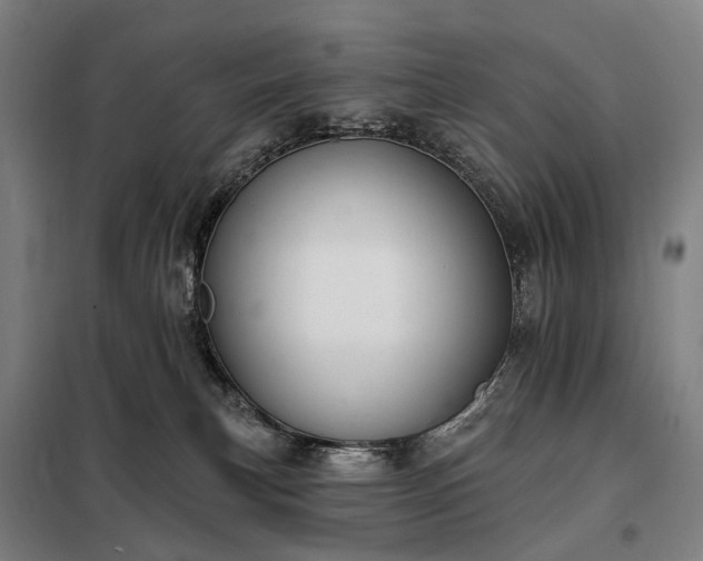 X0000098210183200805011219