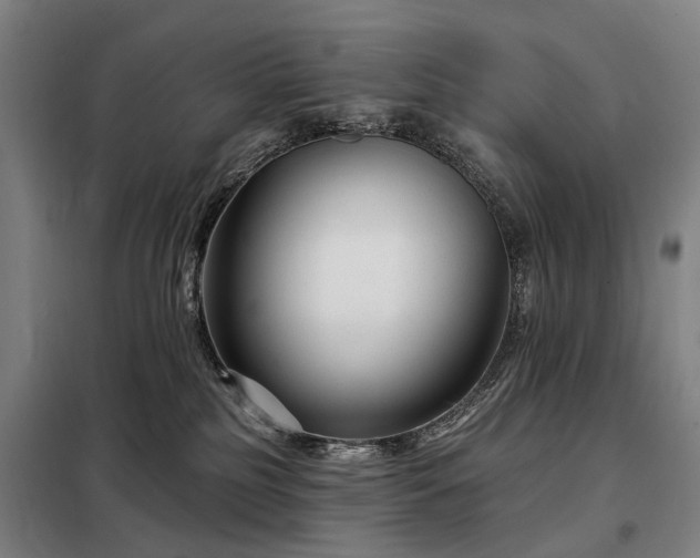 X0000098210185200805011219