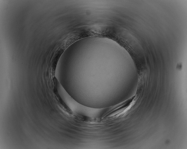 X0000098210186200805011219