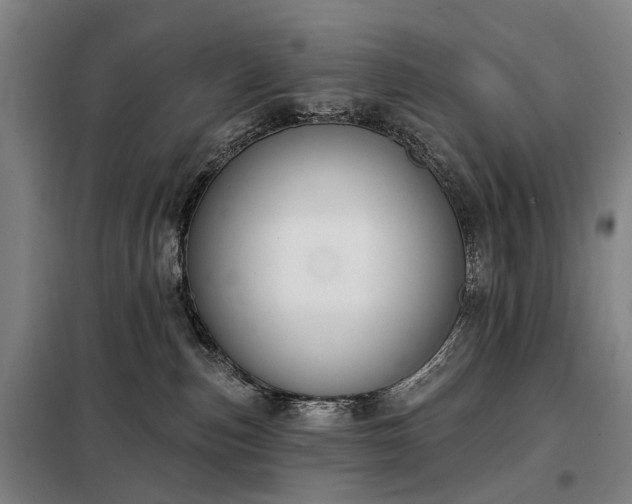 X0000098210187200805011219