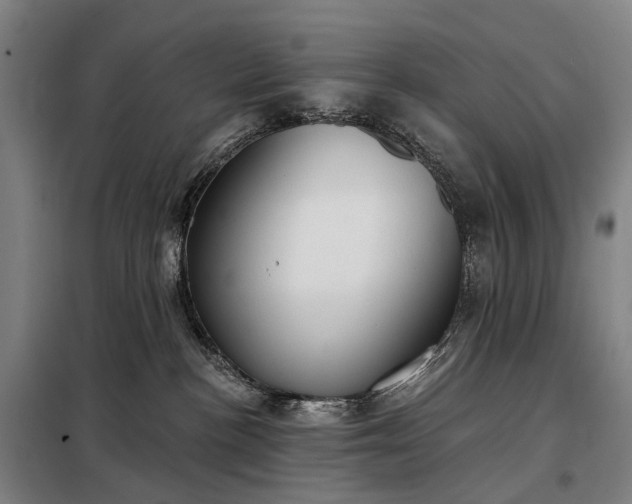 X0000098210188200805011219
