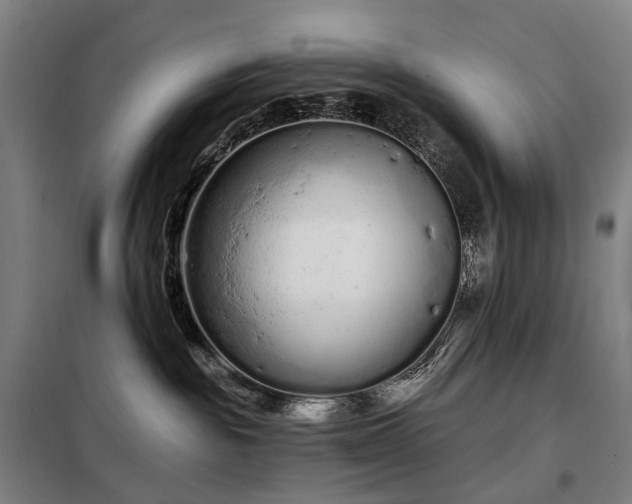 X0000098210189200805011219