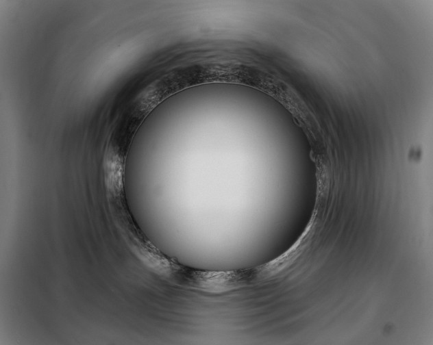 X0000098210191200805011219