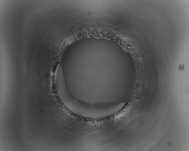 X0000098210192200805011219